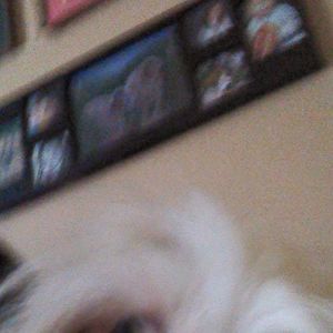 Meet your Posher, Samantha